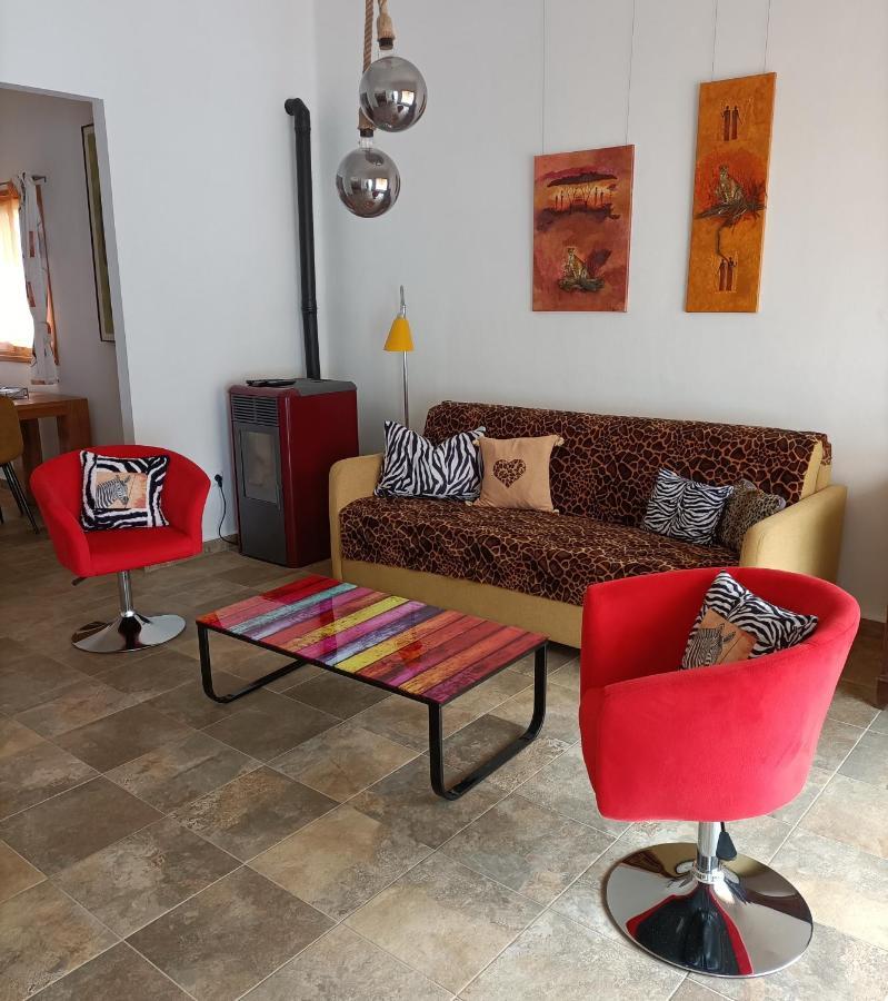 Schoene Wohnung In Puerto De La Cruz Mit Garten. 外观 照片