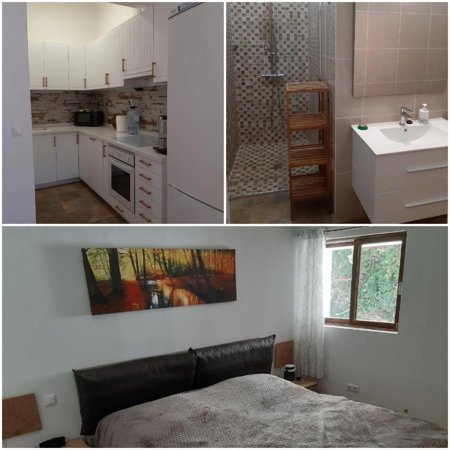 Schoene Wohnung In Puerto De La Cruz Mit Garten. 外观 照片